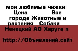 мои любимые чижки › Цена ­ 15 000 - Все города Животные и растения » Собаки   . Ненецкий АО,Харута п.